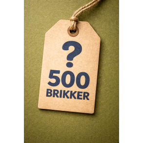 Surprise - 500 brikker