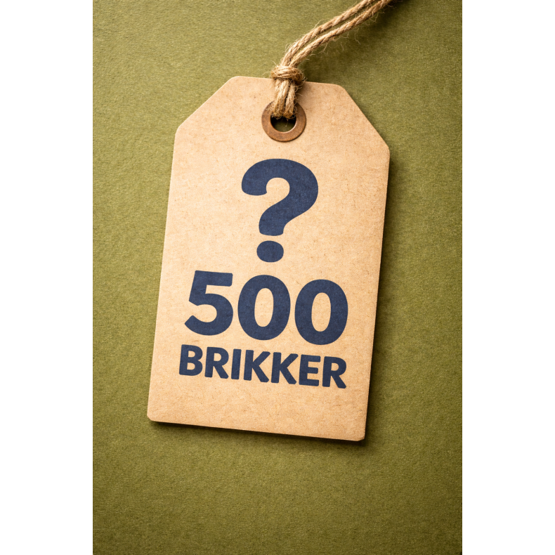 Surprise - 500 brikker