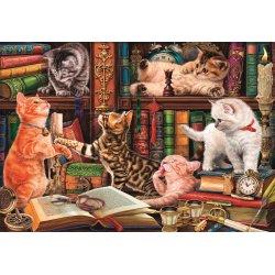 Curious Whiskers puslespil med katte og b�ger. 