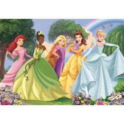 Disney Princess puslespil med Ariel, Tiana, Rapunzel, Belle og Askepot. 