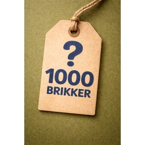 Surprise - 1000 brikker